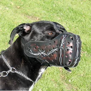 Намордник с декоративным рисунком для кане-корсо «Barbed wire»